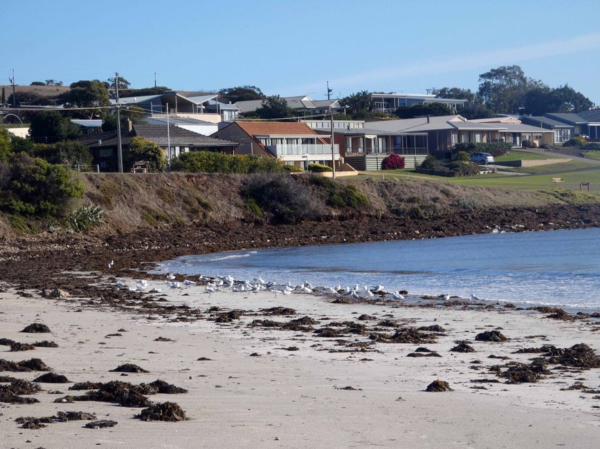 Emu Bay und Stokes Bay, Kangaroo Island