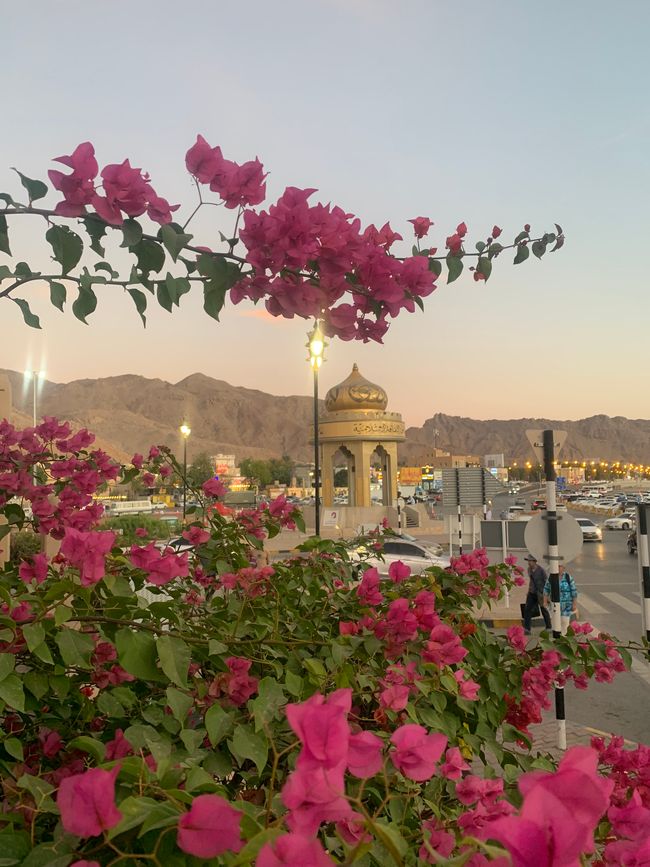 Nizwa e dintorni