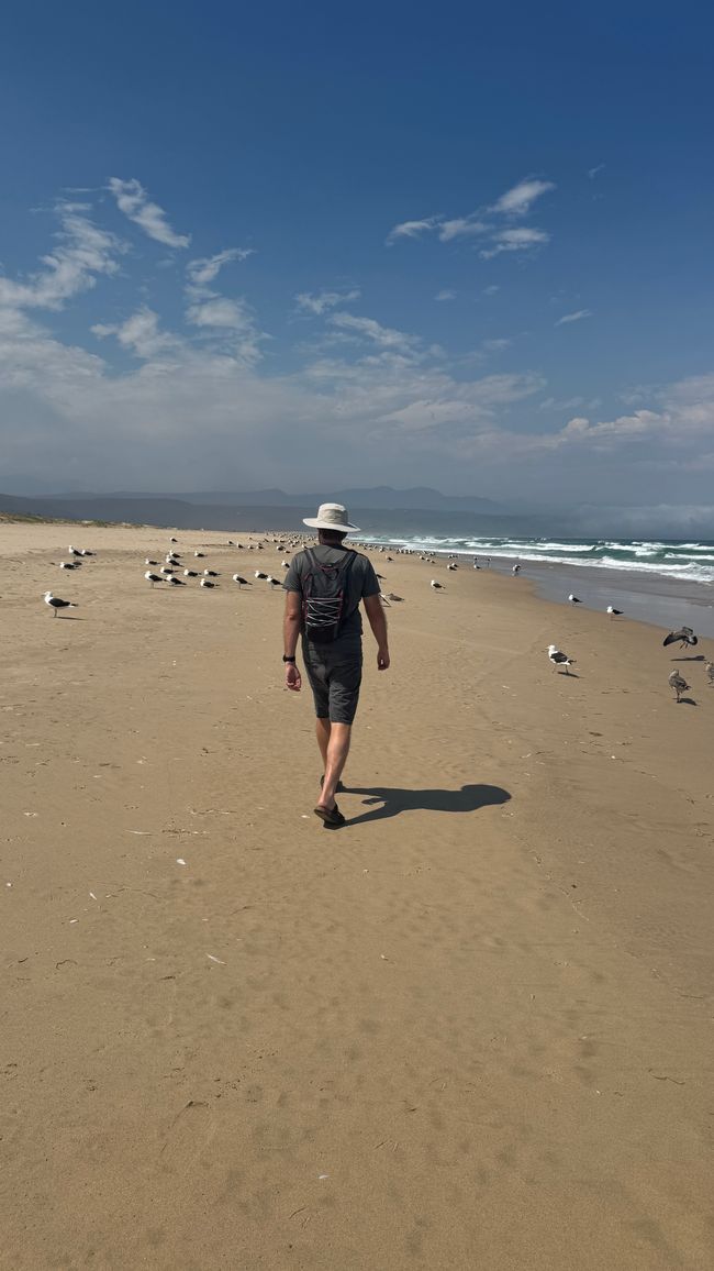 Plettenberg Bay