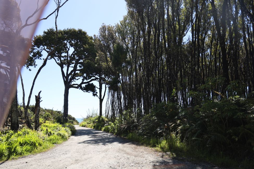 West Coast bis Jackson Bay