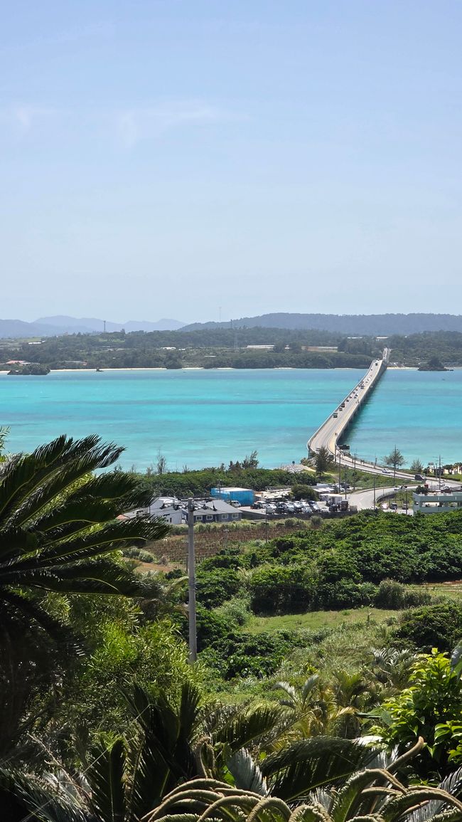 Okinawa Nuchi du takara (Life is the very thing we treasure)