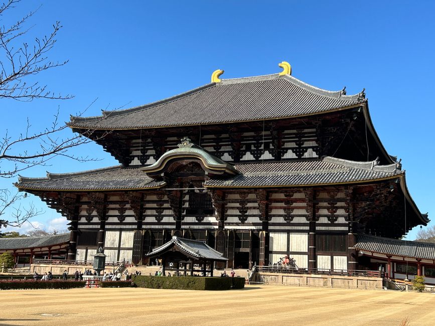 Nara - 10th day