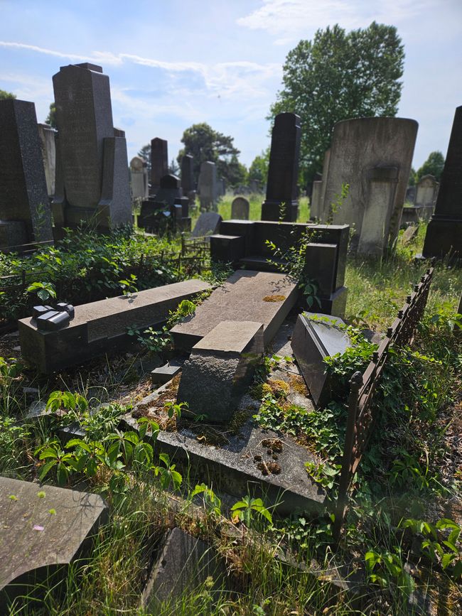 Verfall auf dem jüdischen Friedhof 