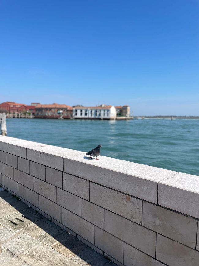 Vicino al mare