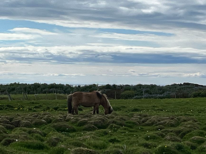 Weiterfahrt Richtung Westisland