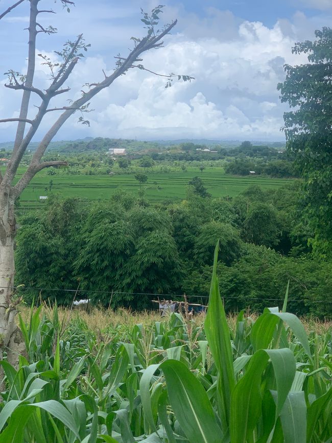 Lombok