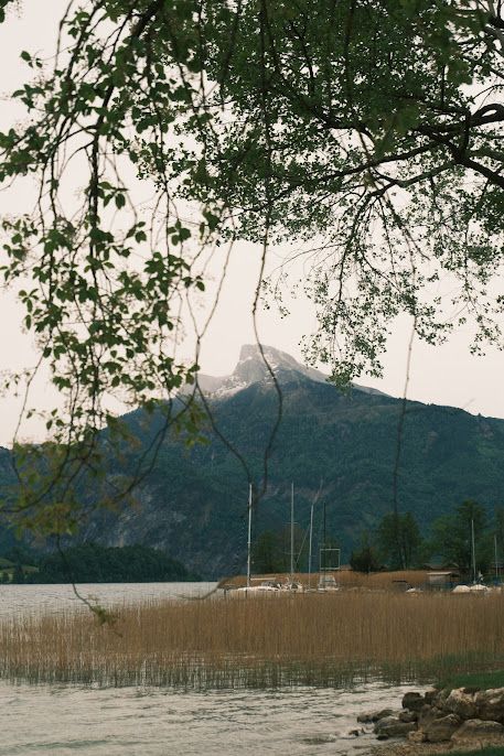 Blick auf den Schafberg