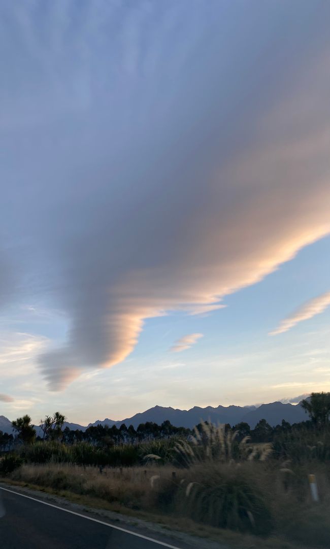 Among the glowing glowworms