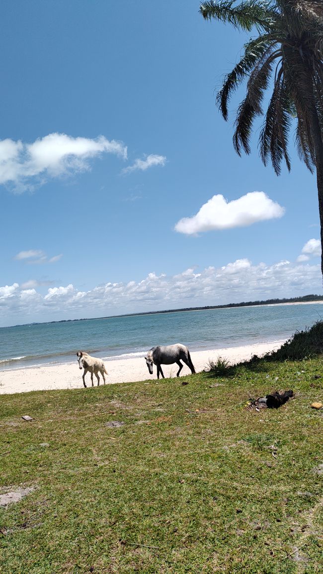 Brasilien, Praia Garcez