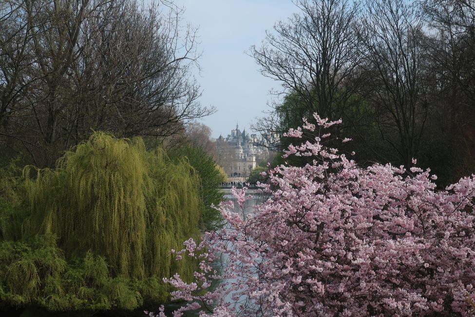 St. James Park