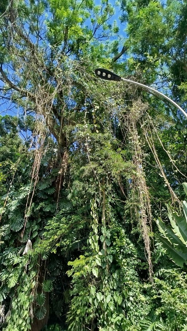 Schülervertretertreffen in Sao Paulo