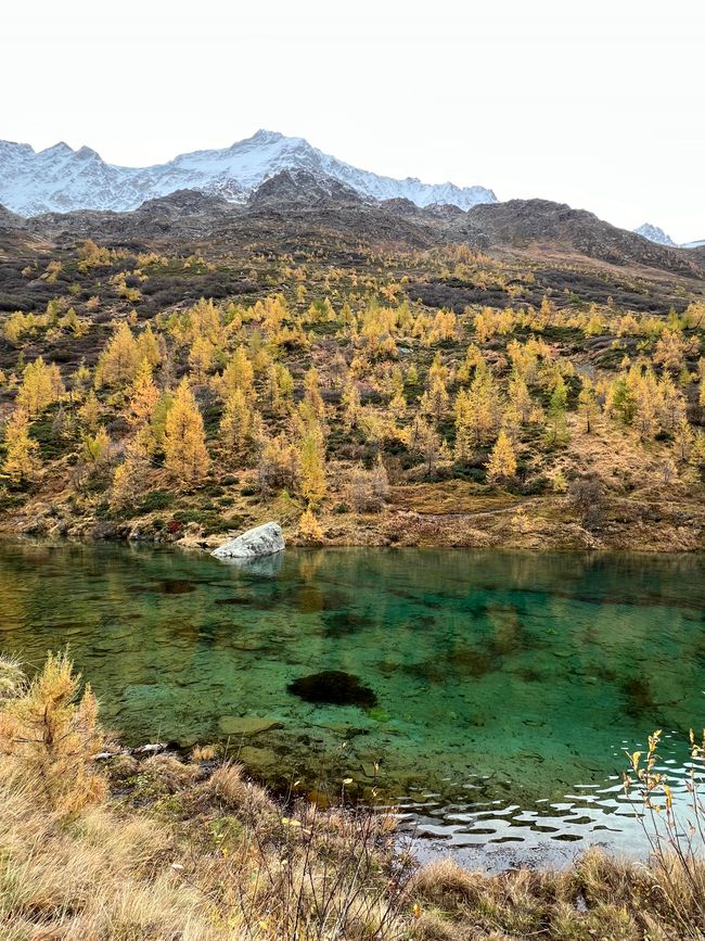 Lötschental