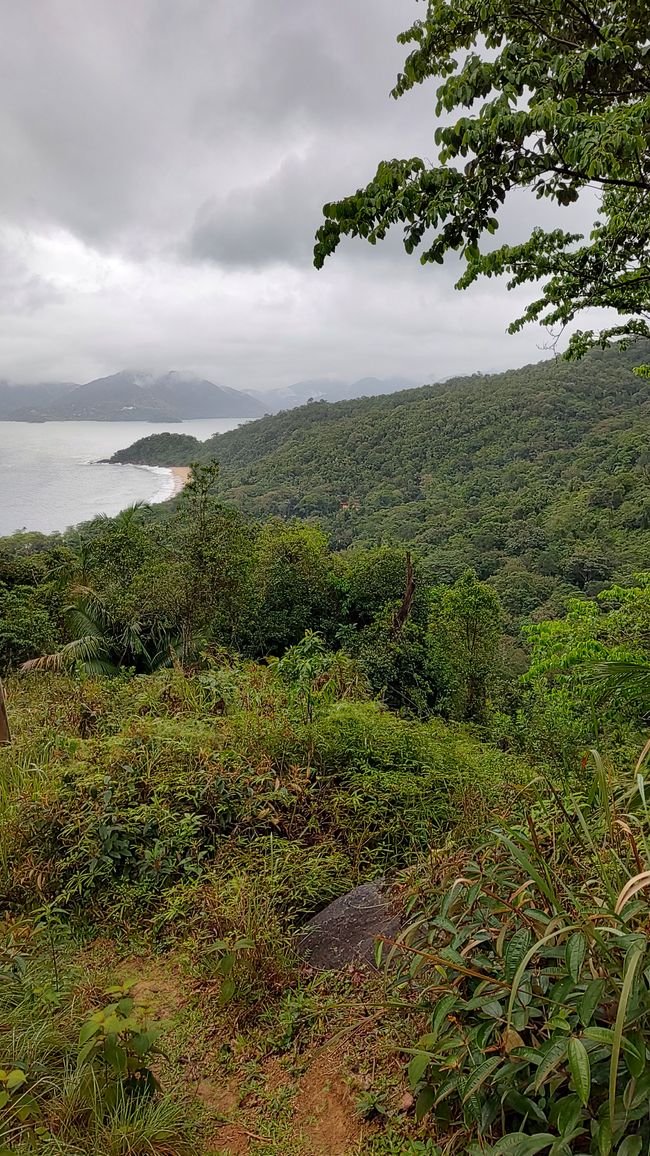 Brasil, Fortaleza Sendero del Bosque Tropical