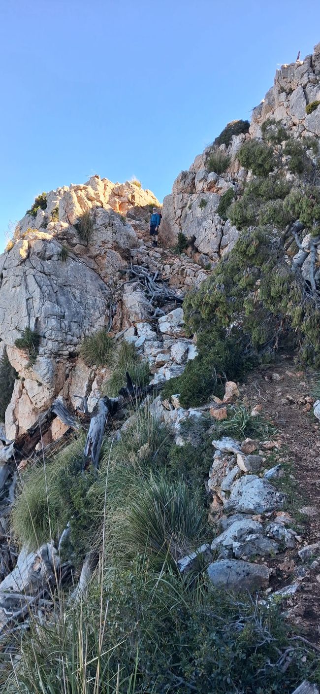 Der erste Anstieg von Finca Ses Fontanelles nach Estellencs
