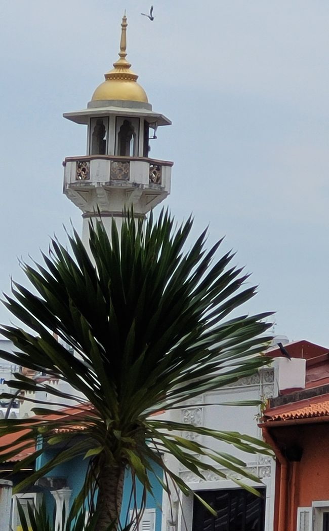 Tag 116 und 117: Kreuzfahrt rund um die Welt  - Singapur