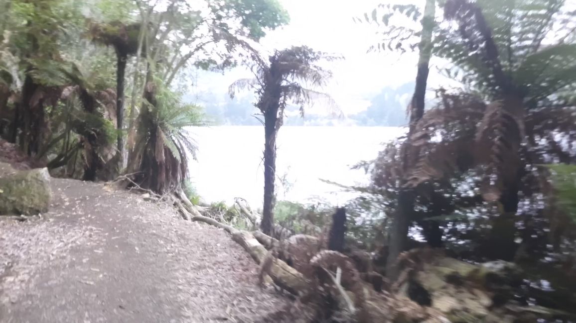 Der River Trail