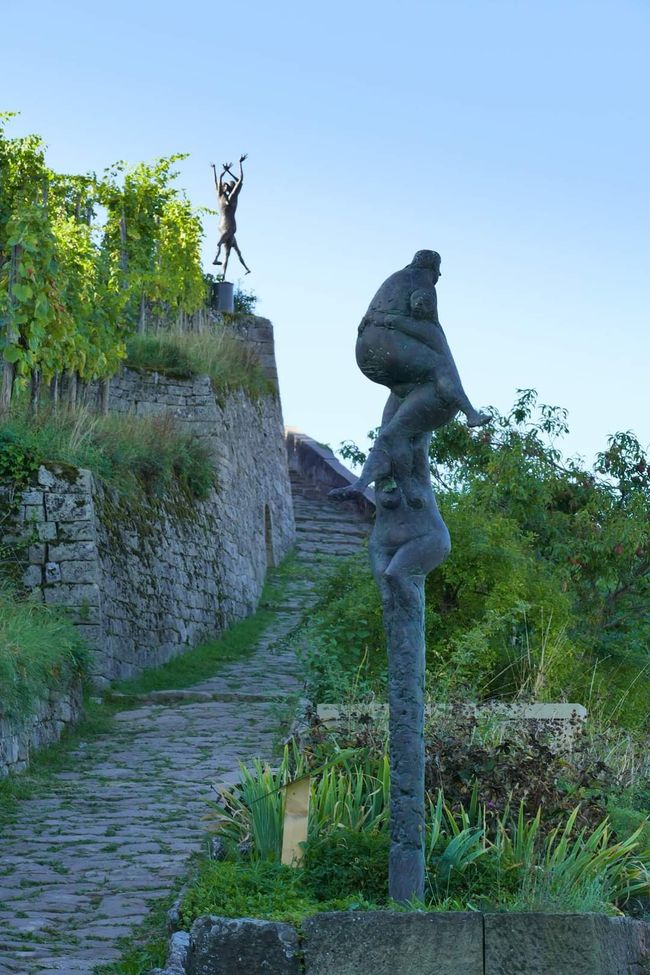 Zwischen Weinreben und Geschichte: Die Yburg im Fokus 📸