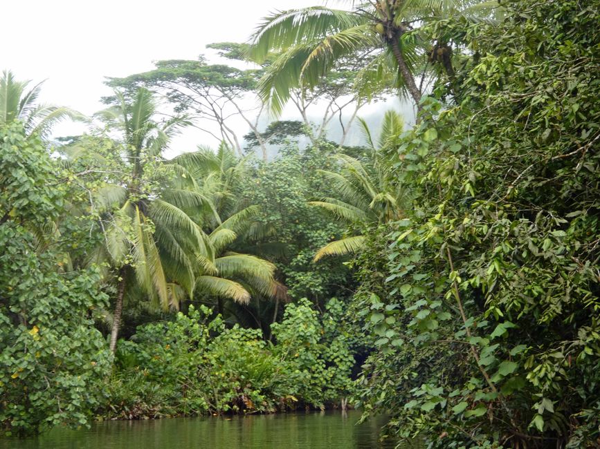Apoomau River