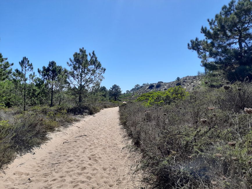 2. Etappe: Auf und Ab durch den Sand