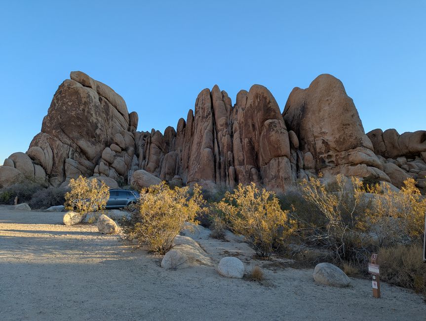 Joshua Tree