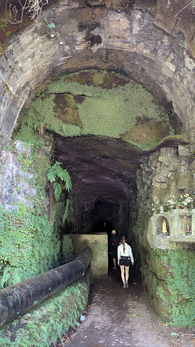 Tag 10: Levada das 25 Fontes und Risco & Feenwald