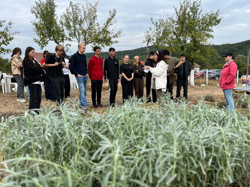 Nature, animaux et solidarité : notre excursion à « Royal Lavendel » à Florești