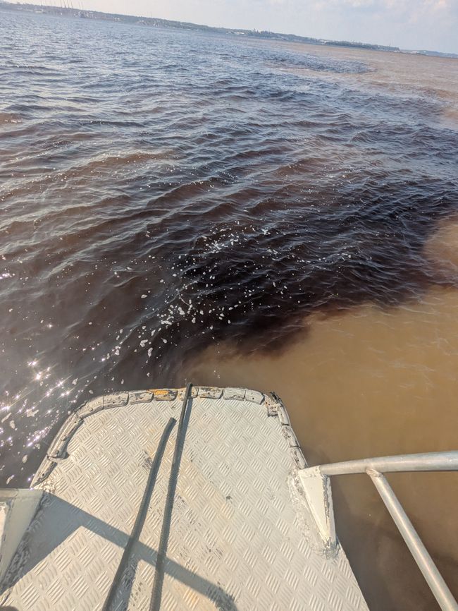 Rio Negro + Rio Solimões gleich  Amazonas