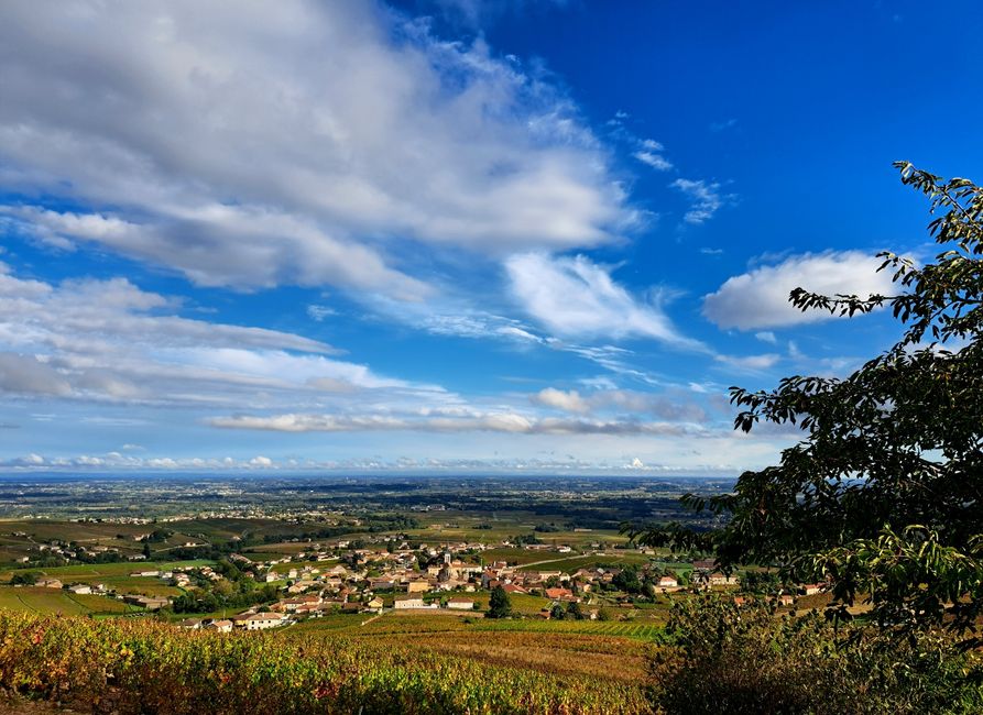 Morning atmosphere in Beaujolais