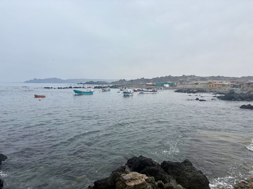 Caleta Chaneral
