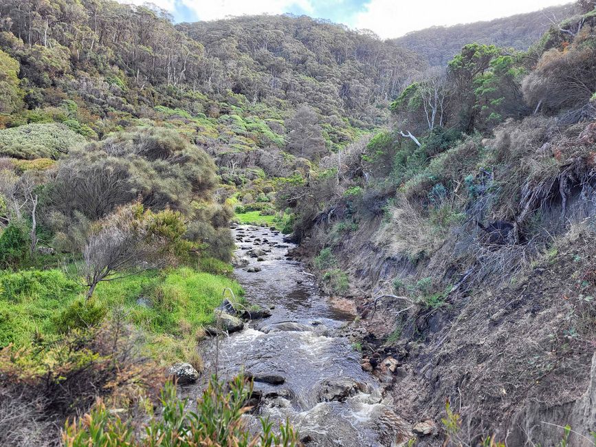 Cascate di Carisbrook