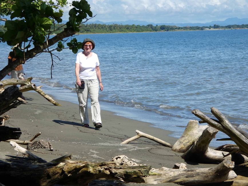 Sonst nur ein schöner Strand - allerdings hat die ganze Insel Süss- und Salzwasser-Krokodile
