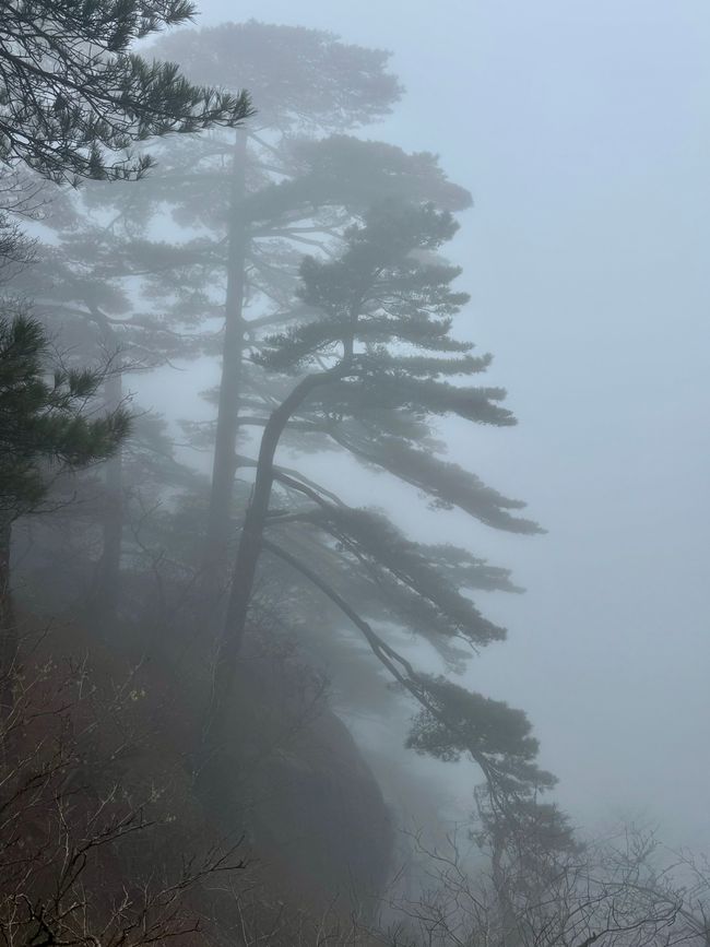 Part 4
 Huangshan and Yunhe