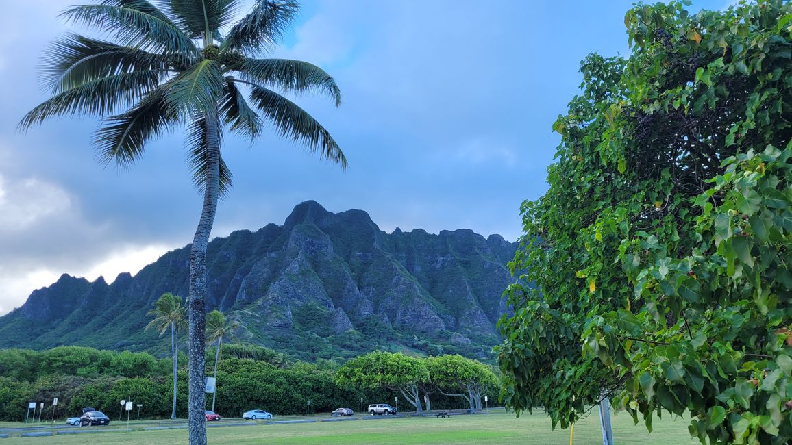 Snorkeling at Sharks Bay and more ...