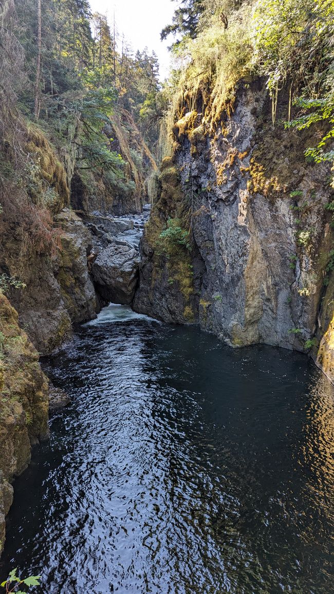 Englishman River Falls Provincial Park