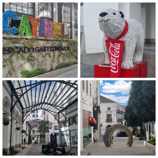 Tag drei: Zoo Aurora und Stadtteil Cayala