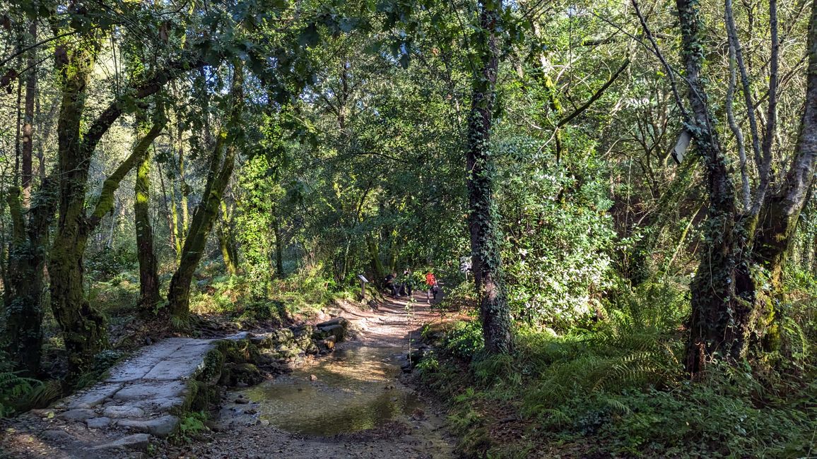 Eleventh Stage of the Camino Portugues from Pontevedra to Caldas de Reis