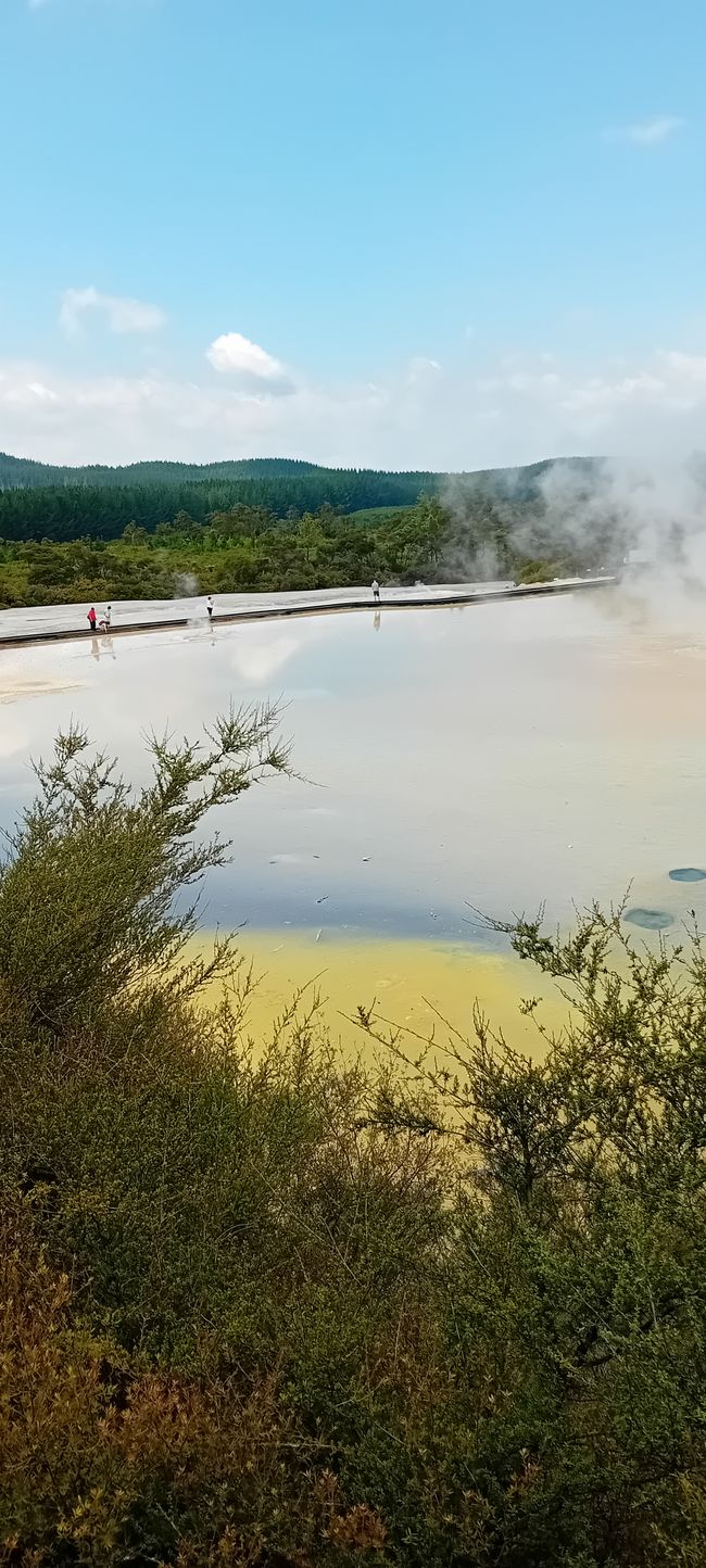 Wai-O-Tapu / Rotorua