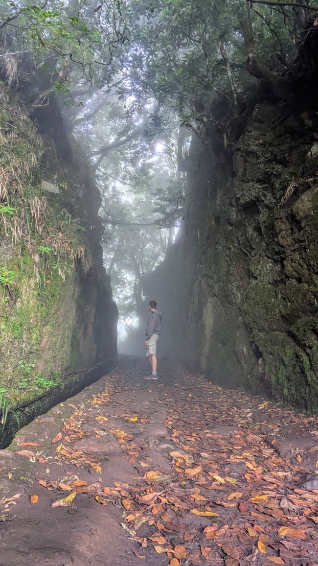 Tag 12: Dem Himmel so nah -  Pico do Areeio