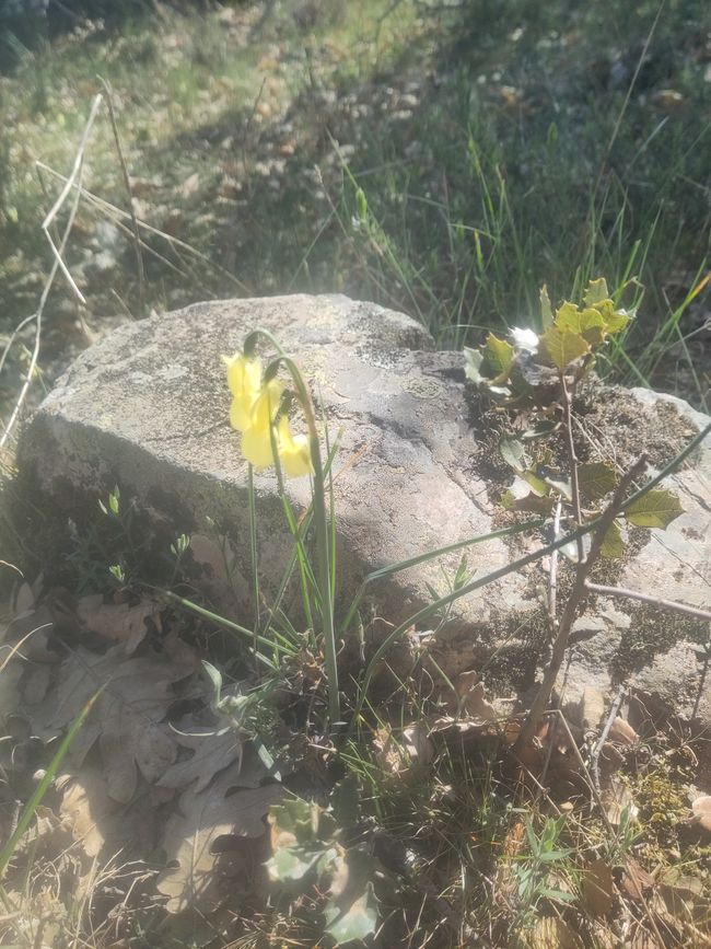 ...e altre bellezze