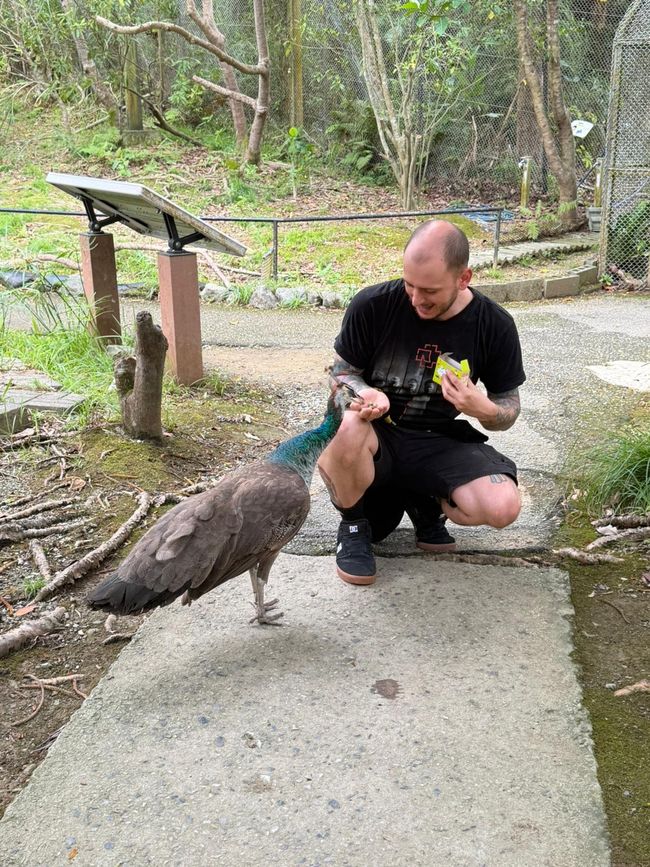 Okinawa Nuchi du takara (Life is the very thing we treasure)