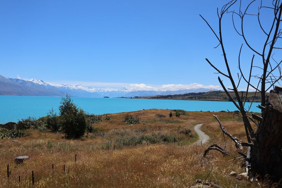 Überführungsfahrt CHC - Wanaka