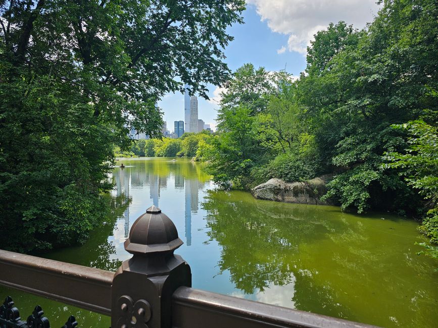 Blick von der Oak Bridge 