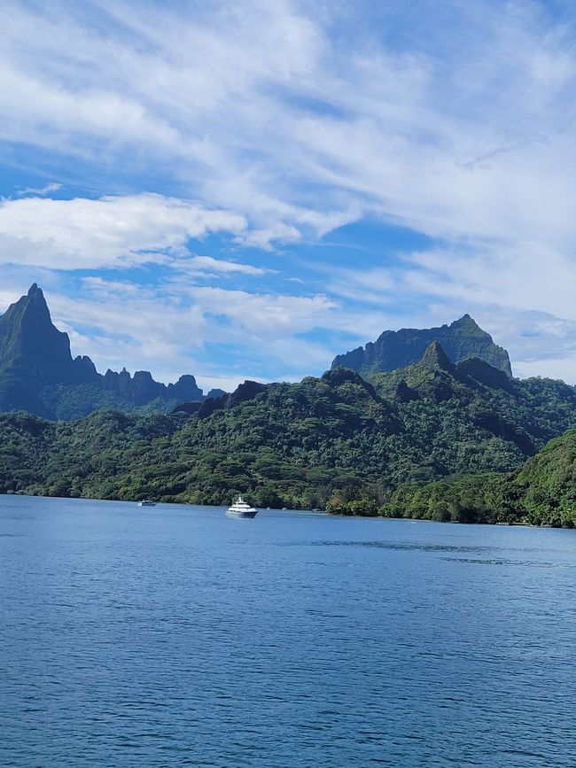 Día 67: Moorea