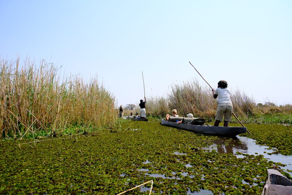 Okavango Delta 🇧🇼