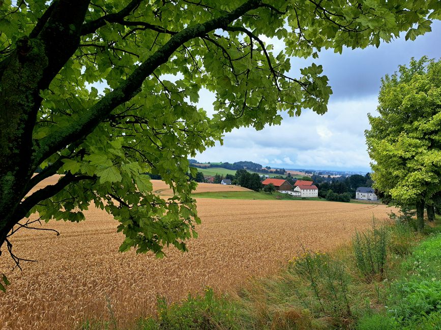 Auf dem Weg nach Tschechien 