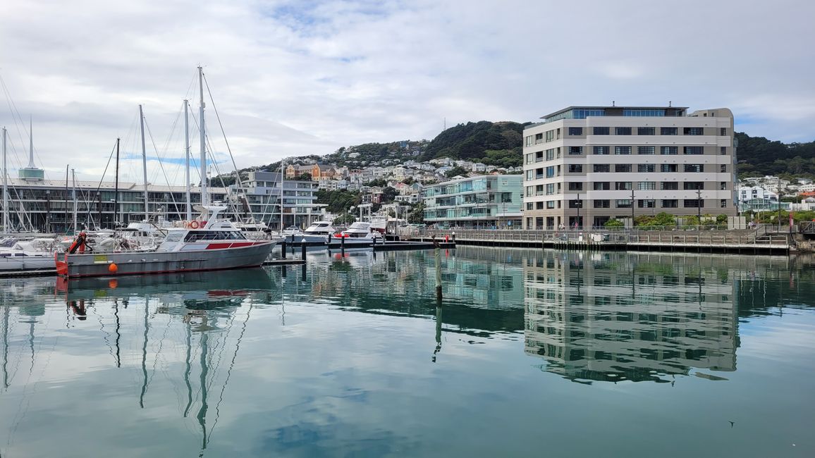 29.Januar-27.Februar 2025 Neuseeland
17.Februar