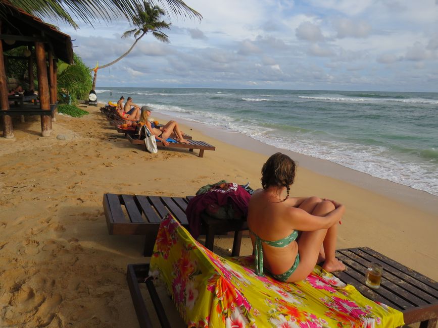 Matara - Mauvais temps, pas de baleines, mais des Salties (crocodiles d'eau salée)