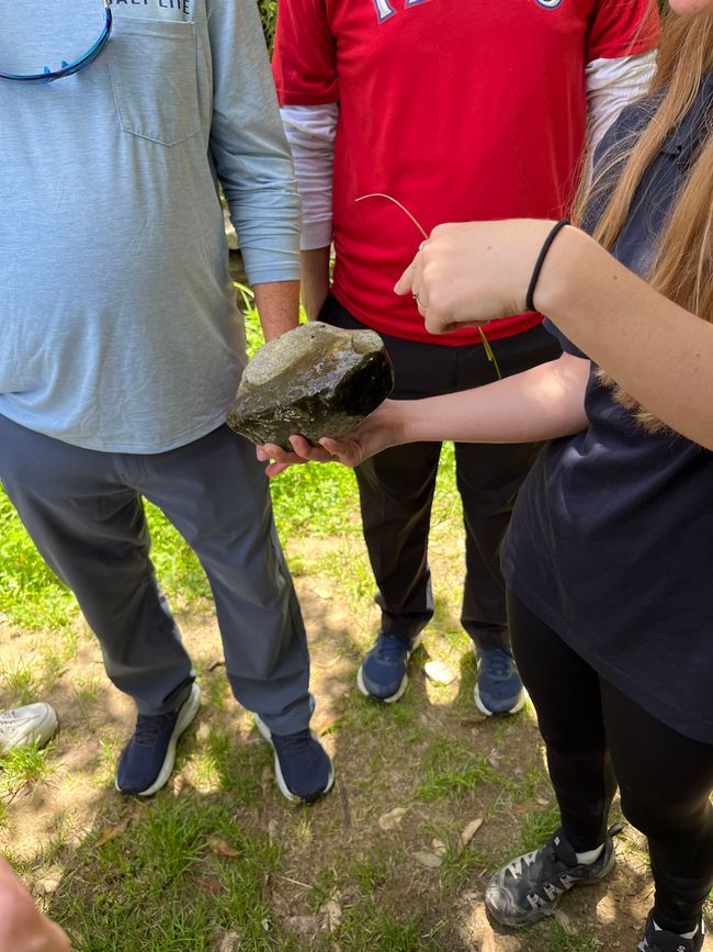 Nahrung für Glühwürmchen 