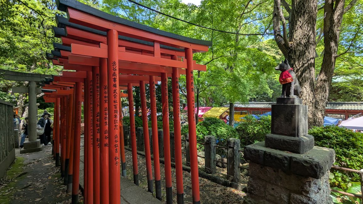 Tenno ji Tempel, Nezu Schrein, Hie und Innrie Schrein