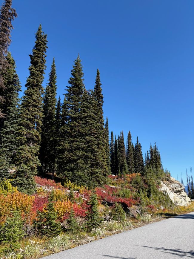 Kanada 7/21 - Revelstoke